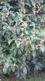 200810101134000 200810101134000