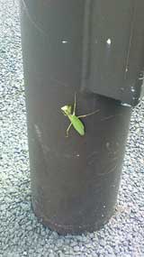 200810101140000 200810101140000